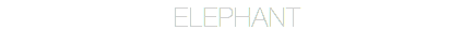 ELEPHANT